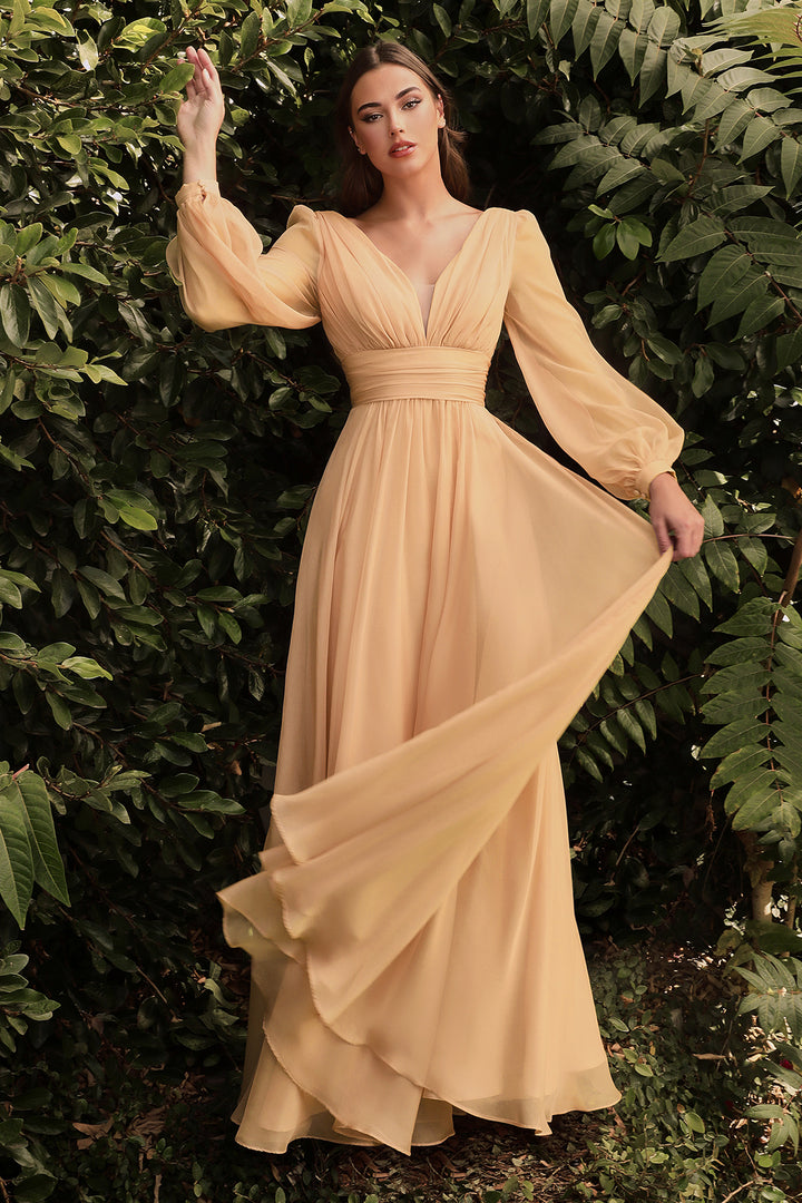 CINDERELLA DIVINE CD0192 Long Sleeve Chiffon Gown