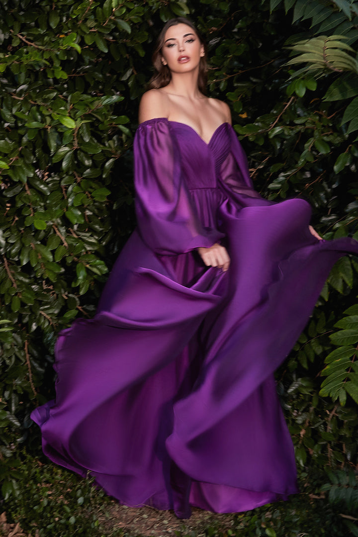 CINDERELLA DIVINE CD243 A-Line Long Sleeve Chiffon Gown